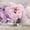 Color 4, variant on Wallpaper Pink Peony Flowers Delicate Petals Romantic Floral Aesthetic Peel and Stick Wall Murals 69"H x 96"W Removable PVC Wall Paper Self-Adhesive Wall Paintings Art Decor for Bedroom Living Room