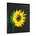 thumbnail image 2 of Designart 'Yellow Sunflower On Black' Traditional Framed Art Print, 2 of 4