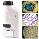 thumbnail image 4 of Muyoka Microscopio para niños 60-120x Mini microscopio eléctrico de bolsillo con microscopio de luz LED para niños Estudiantes Aprendizaje de observación microbiológica,Blanco Muyoka Hogar, 4 of 7