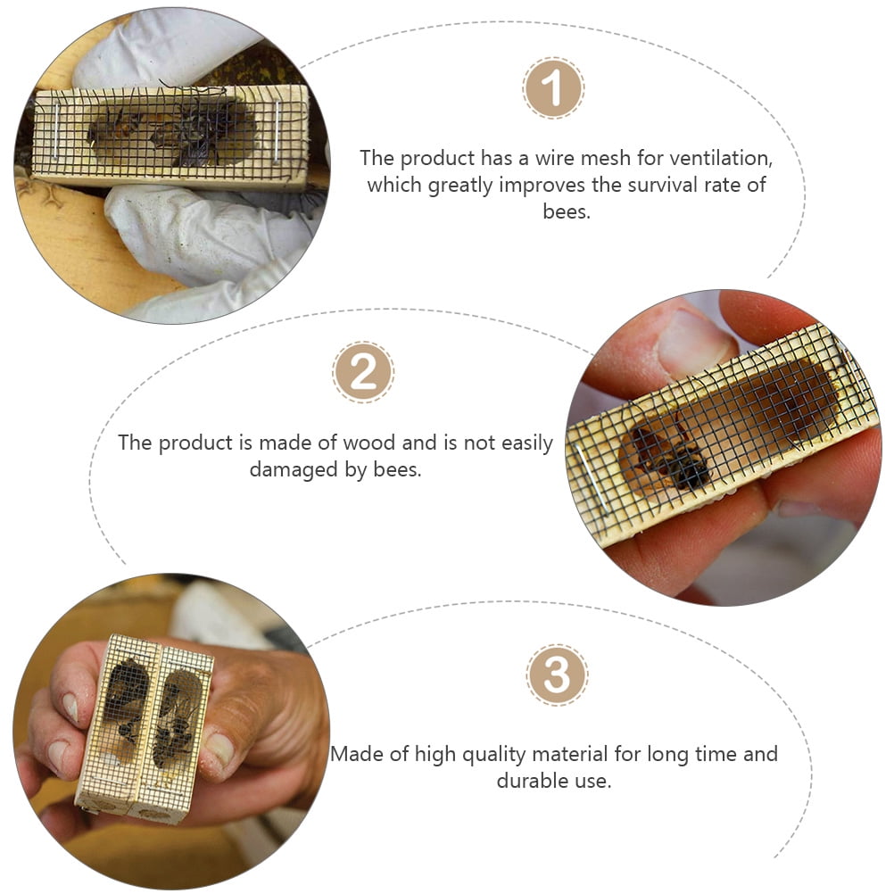 【福袋セール】 20 Beekeeper The Cage Bee Wooden Cage Bee Queen Pcs 養蜂