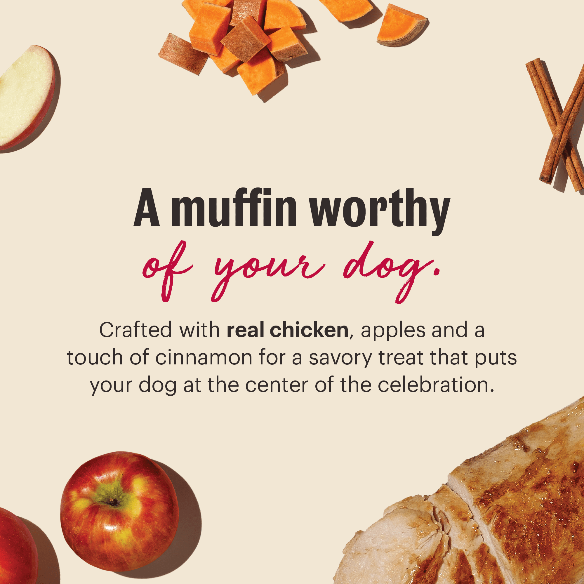 The Honest Kitchen Human Grade Dog Muffin Mix, Apple, Chicken & Cinnamon, Bake-at-Home Dog Muffins, Real Ingredients, 7.5 oz
