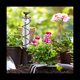 thumbnail image 4 of PluvióMetro en Espiral de Vidrio de Capacidad,PluvióMetro Colgante de PáJaro de Hierro Fundido,Medidor de Agua de Lluvia para JardíN Que Mide con de Metal, 4 of 5