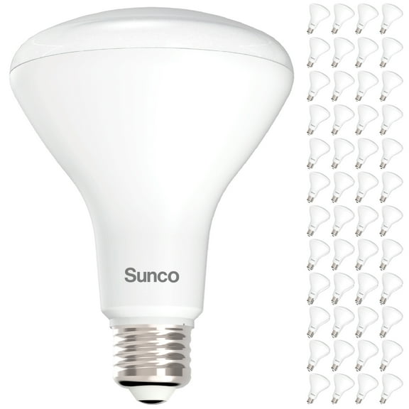 Sunco 48 Pack BR30 Light Bulbs LED, Recessed Can Light Bulbs, Indoor Flood Bulb, 850 LM, 11W (65W Equivalent), 2700K Soft White, Dimmable, E26 Base, for Home, Kitchen, Bedroom UL