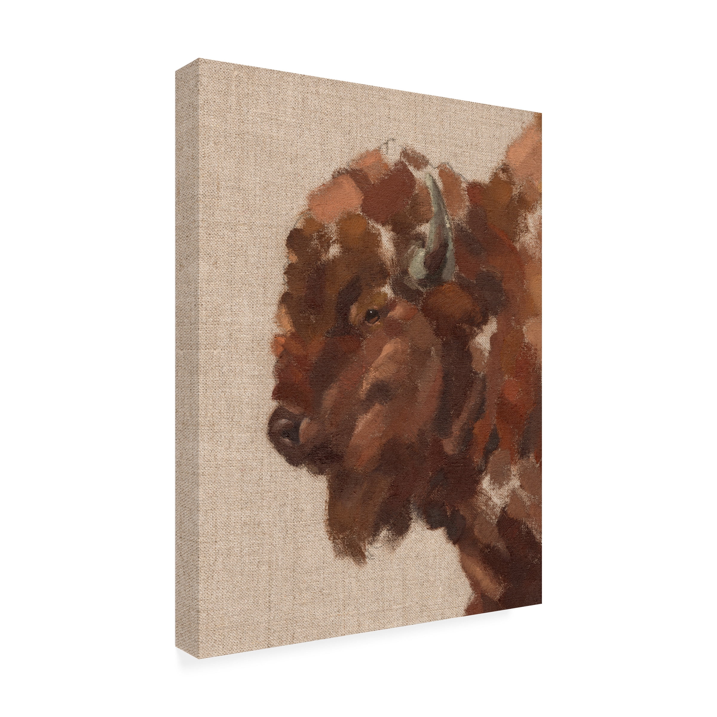 Jacob Green 'Tiled Bison II' Canvas Art