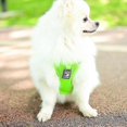 thumbnail image 5 of Dog Backpack Cute Frog Shape Self Carrier Harness Adjustable Puppy Bag Vest For Travel Camping Hiking, 5 of 5