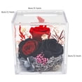 thumbnail image 2 of Boîte de Rangement en Acrylique Transparent Compatible Anti-Poussière pour Objets de Collection, Fleurs Préservées Diorama de Roses 4 Pcs, 2 of 5