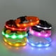thumbnail image 3 of Collar de nailon para perro de 2,5 cm con luz LED de seguridad nocturna, intermitente, con colgante circular iluminado, talla S (luz azul), 3 of 3