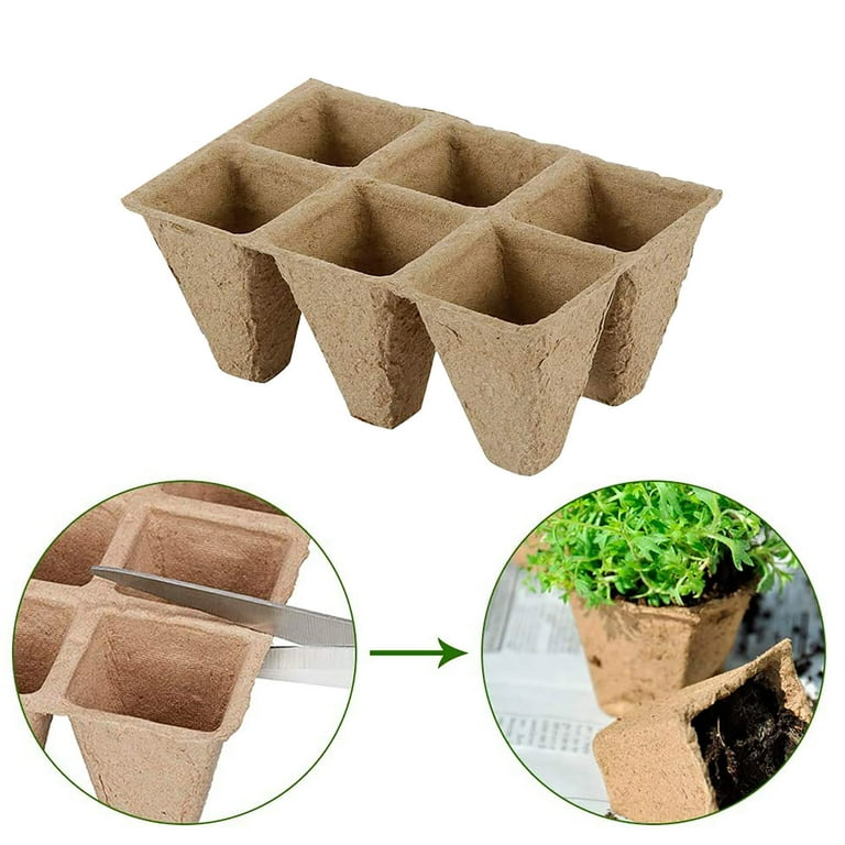 price of a bonsai tree Bonsai Tree Bundle main image 0