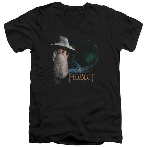 The Hobbit - The Door - Slim Fit V Neck Shirt - X-Large