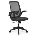 thumbnail image 1 of Magshion Office Mesh Chair Adjustable Height and Ergonomic Design Home Office Computer Desk Chair Lumbar Support with Padded Flip-up Armrest Swivel Chair (Black), 1 of 4