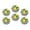 M006, variant on Glass Refrigerator Magnet 6Pcs Magnetic Fridge Sticker,Decor for Kitchen,Whiteboard,Cabinet,Lemon Fruit Pattern On Black And White Background