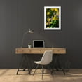 thumbnail image 3 of Hausenflock, Alan 11x14 White Modern Wood Framed Museum Art Print Titled - Summer Glory I, 3 of 4