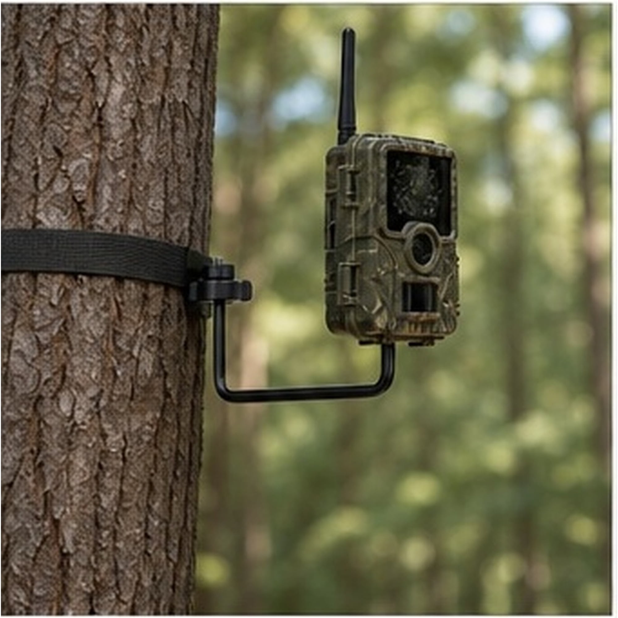 Hytrove Adjustable Outdoor Iron Hook for Camping Lights Speakers Heavy Duty Tree Mount