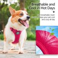 thumbnail image 4 of PoyPet Dog Harness Adjustable Soft Breathable Mesh Pet Harness No Pull Choke-Free Double Padded Vest for Small Medium and Large Dogs,Fuchsia L, 4 of 8