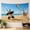 B, variant on XaaKee Large Tapestry, Panda Colorful Kite Llama Watching, High-Quality Polyester Room Tapestry, 60x40Inch