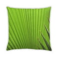 thumbnail image 2 of Ahgly Company Color Focus Green Coussin Décoratif d'Intérieur, 18 Po X 18 Po, 2 of 6