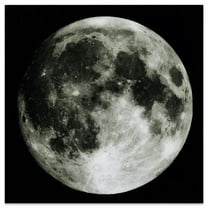 Empire Art Direct Full Moon Frameless Free Floating Tempered Glass Panel Graphic Wall Art, 40" x 40" x 0.2", Ready to Hang