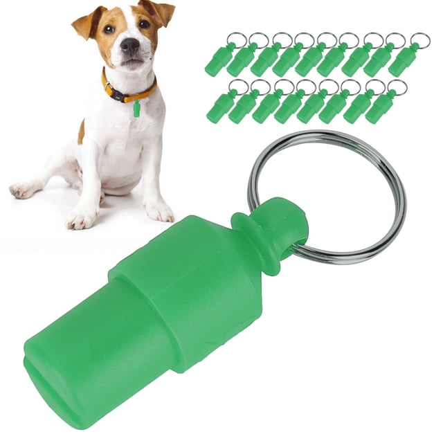 Étiquette pour Animaux de Compagnie, Étiquette d'Identification pour Animaux de Compagnie, Pendentif Collier Anti-Perdu Beau Petit Chiot Imperméable pour Étiquette pour Animal de Compagnie Rouge, Orange, Vert, Bleu, Noir