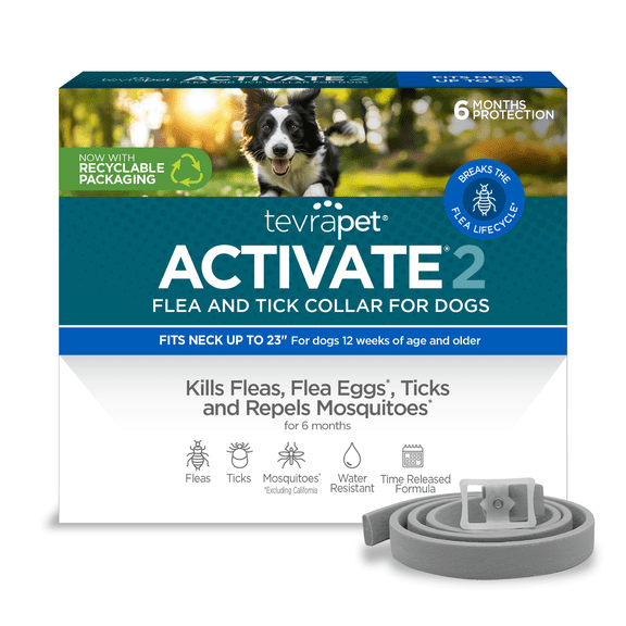 TevraPet Activate II Flea and Tick Collar for Dogs, 6 Months Prevention, 1 Count, One Size Fits All