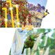 thumbnail image 4 of Rollo de banda reflectante para asustar pájaros que puede asustar palomas, águilas, pájaros carpinteros, gansos, accesorios para patio, jardín, porche, 4,8 cm x 100 m, 4 of 5