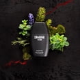 thumbnail image 4 of Perfume Guy Laroche Drakkar Noir Eau De Toilette para mí, 30 ml, 4 of 9