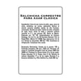thumbnail image 2 of Salchicha para asar Bafar 800 g, 2 of 4