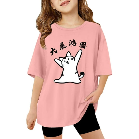 Toddler Boys Girls Summer 3D Cartoon Graphic Chinese Song Short Sleeve T-Shirts Kids Crewneck Tops Cute Fashion Tees 3-14 Years