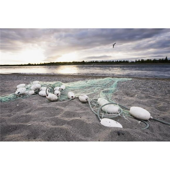 Design Pics DPI2250326LARGE A Gill Net Used for Sockeye Salmon Fishing Stretches Towards The River Bristol Bay Alaska United States of America Poster Print, 38 x 24 - Large