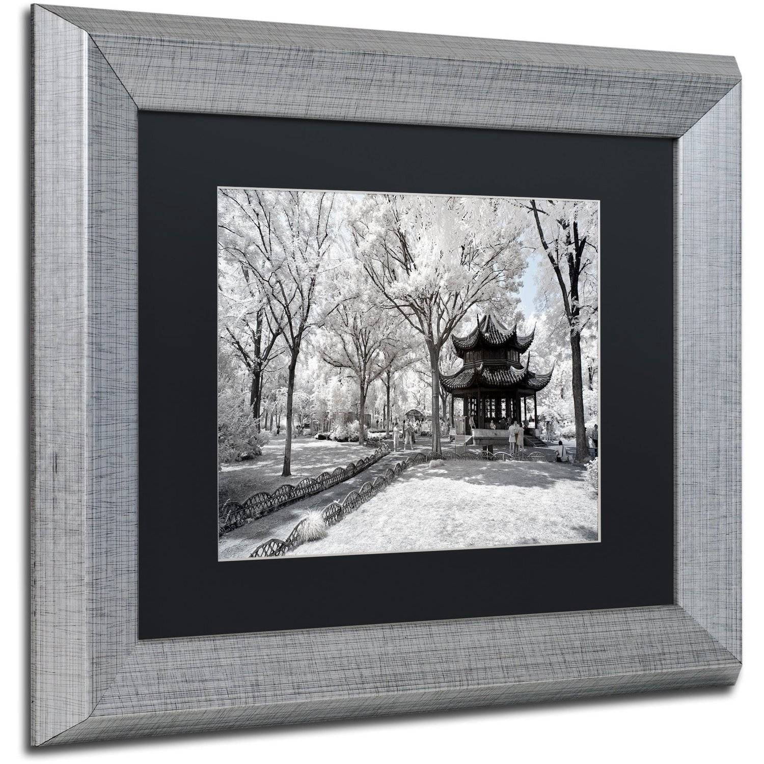 Trademark Fine Art "Coldness" Canvas Art by Philippe Hugonnard, Black Matte, Silver Frame