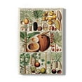 thumbnail image 1 of Palm Tree Chart Wrapped Canvas  -Vision Studio Designs,, 1 of 3