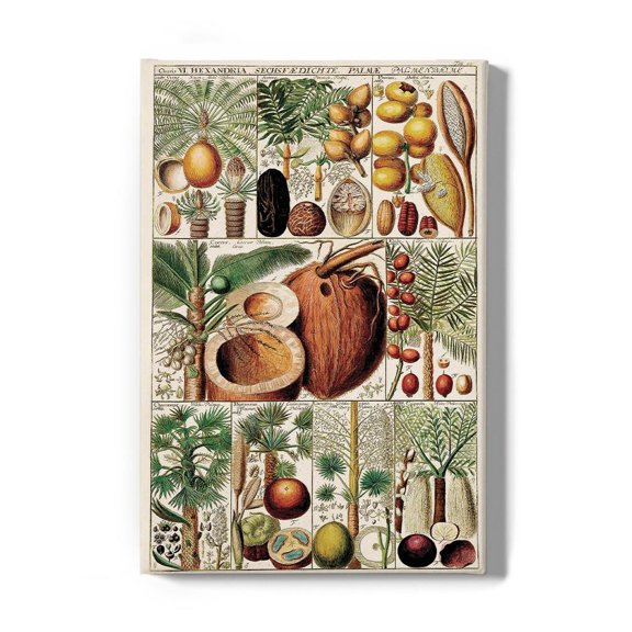 Palm Tree Chart Wrapped Canvas  -Vision Studio Designs,