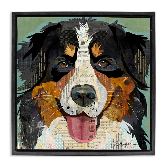 Stupell Industries Bernese Mountain Dog Collage Animals & Insects Painting Black Floater Framed Canvas Art Print Wall Art, 18 x 18
