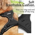 thumbnail image 3 of rabbitgoo No-Pull Pet Harness with 2 Leash Clips  Adjustable Soft Padded  Reflective No-Choke Pet Oxford Vest with Easy Control Handle for Large Dogs  Pink  L, 3 of 9