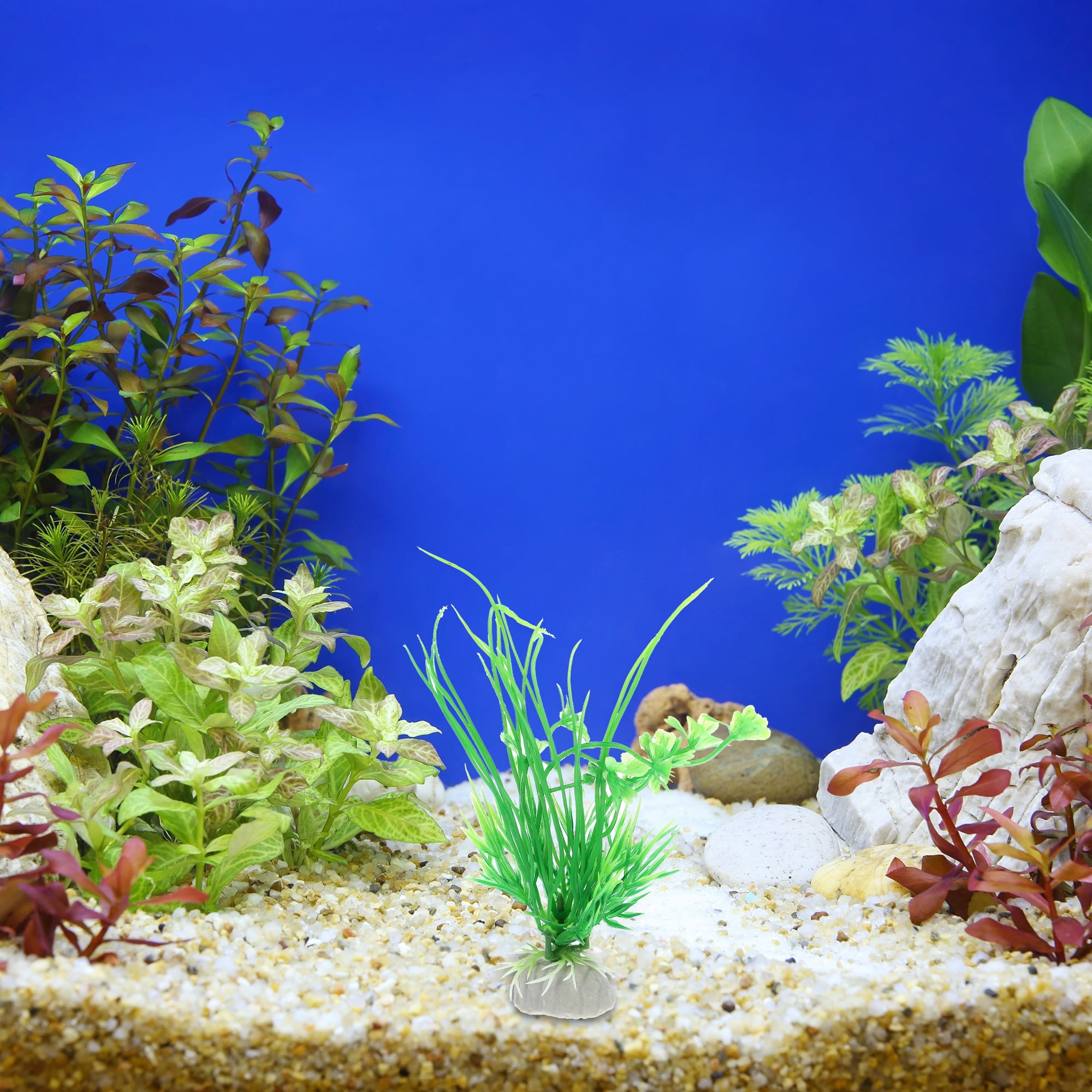 Freshwater Aquarium Ideas Best Aquarium Decorations The Best Small
