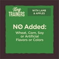 thumbnail image 6 of Wellness CORE Tiny Trainers Dog Treats, Natural, Training Treat, Grain Free, Lamb & Apple (6 Ounce Bag), 6 of 7