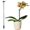 thumbnail image 6 of Kingtowag Plant Support Stakes, 5 Plant Support Stakes - Prevents Drooping Stems In Pots (#C), 6 of 8