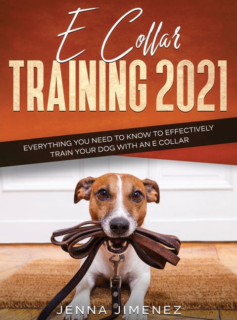 e collar training techniques
