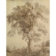 thumbnail image 3 of Jakob Philipp Hackert 20x24 Black Modern Framed Museum Art Print Titled - A Large Tree at Albano (1782), 3 of 5