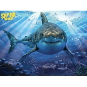 Discovery Channel Shark Week 3D Lenticular Puzzle - 500 Pieces