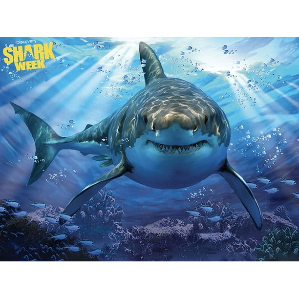Discovery Channel Shark Week 3d Lenticular Puzzle 500 Pieces Walmart Com Walmart Com