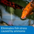 thumbnail image 4 of API Pond Ammo-Lock, Pond Water Ammonia Detoxifier, 16-Ounce, 4 of 7