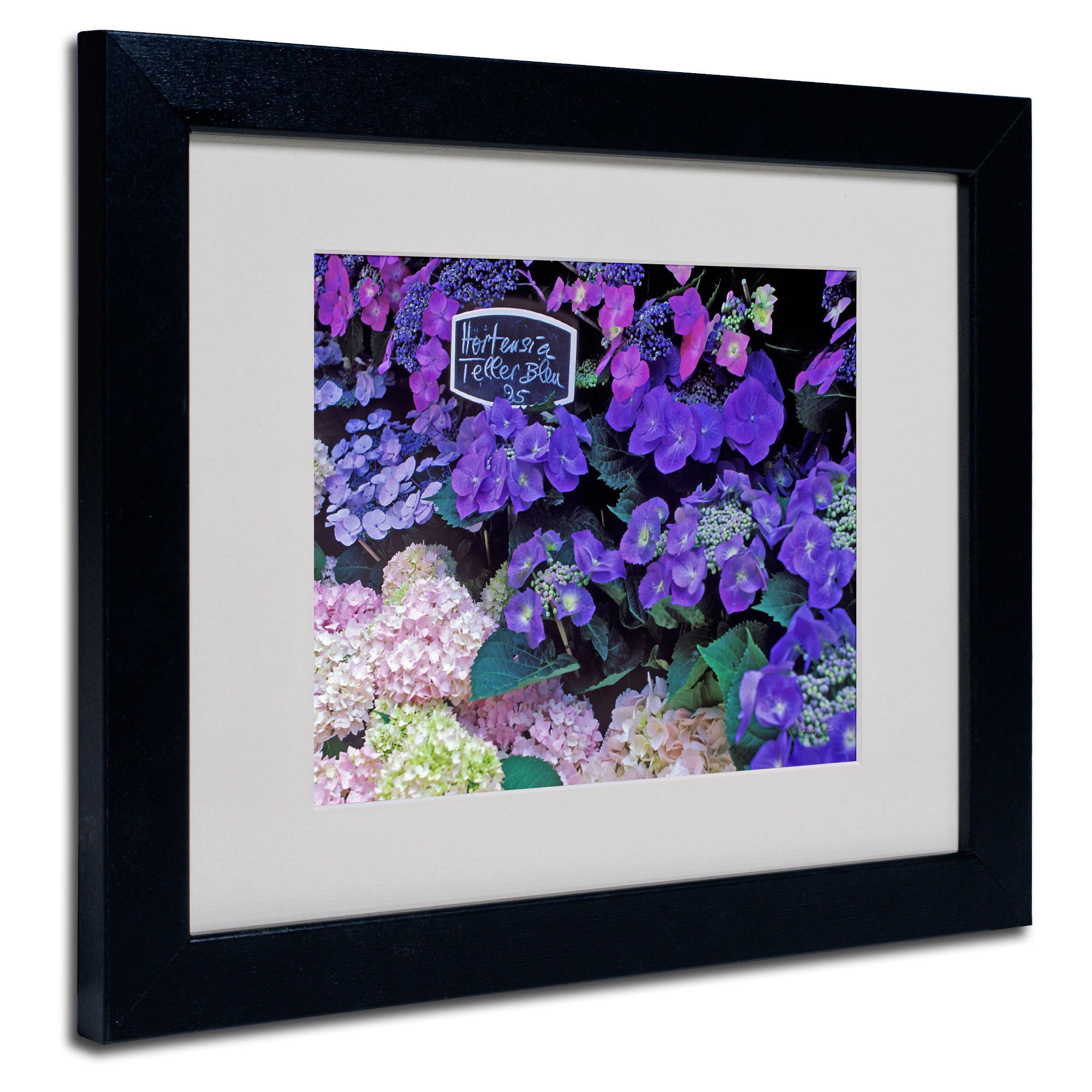 Trademark Fine Art "Paris Flower Market Hydrangeas" Matted Framed Art by Kathy Yates, Wood Frame