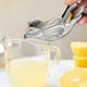 thumbnail image 1 of Suministros de cocina, utensilios y aparatos de cocina, exprimidor de limón y naranja, prensa manual, extractor de frutas, exprimidor, utensilios de bar, productos de acero inoxidable, 1 of 9