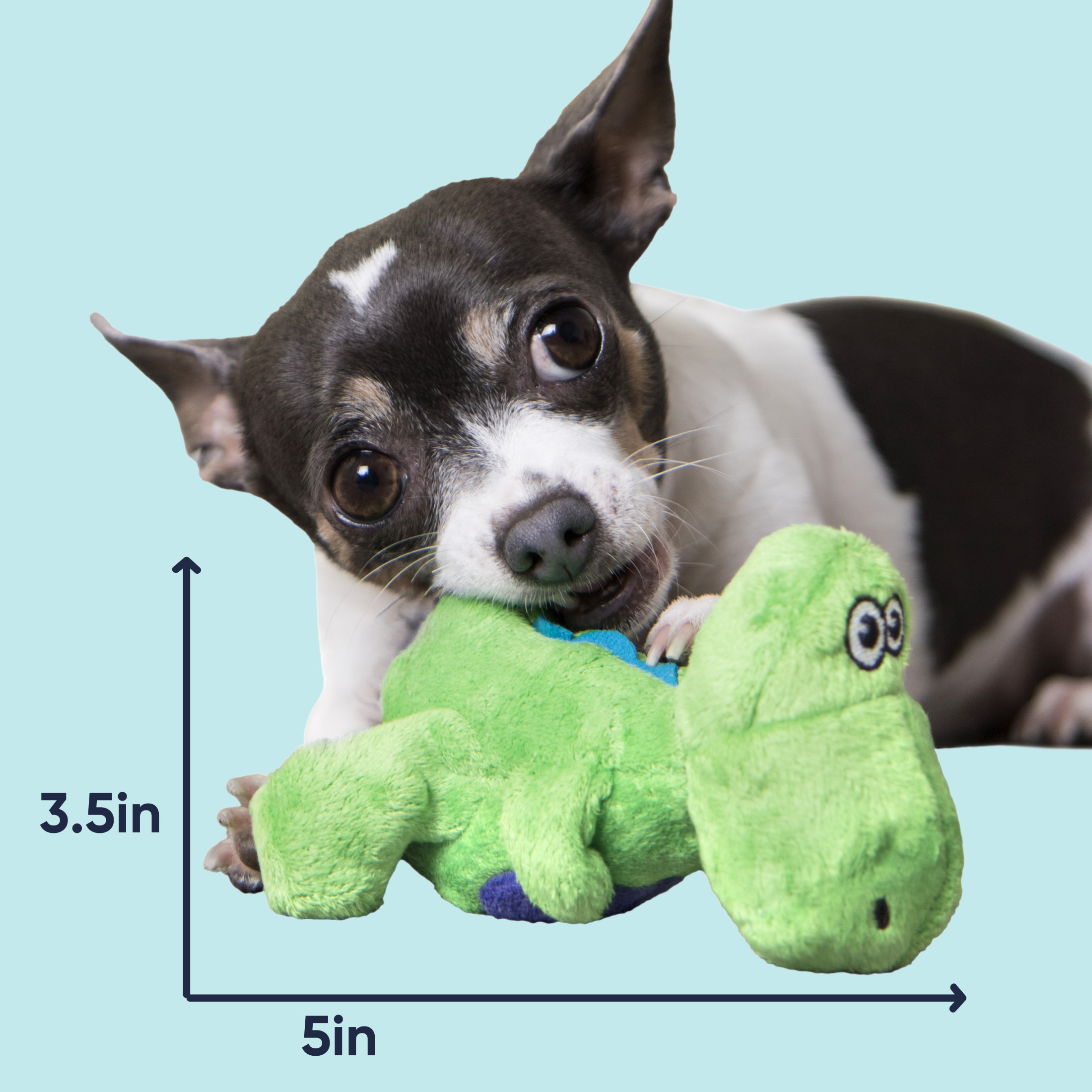 goDog Dinos T-Rex Mini Plush Squeaker Dog Toy photo 7