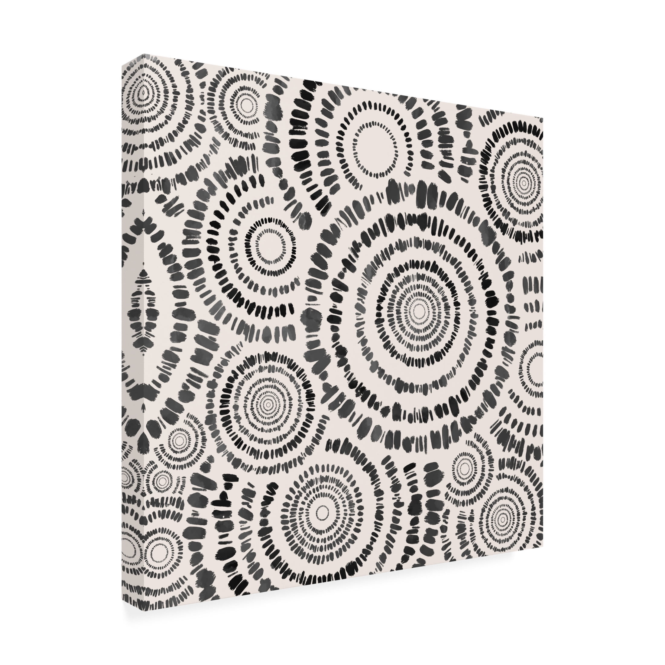 Trademark Fine Art Emel Tunaboylu Bulut Seritleri Canvas Wall Art