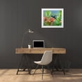 thumbnail image 3 of Fitzharris, Tim 30x26 White Modern Wood Framed Museum Art Print Titled - Green Hermit Hummingbird, 3 of 4
