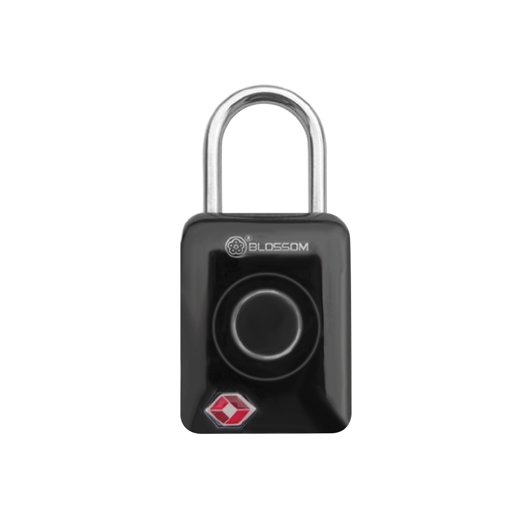 fingerprint tsa lock