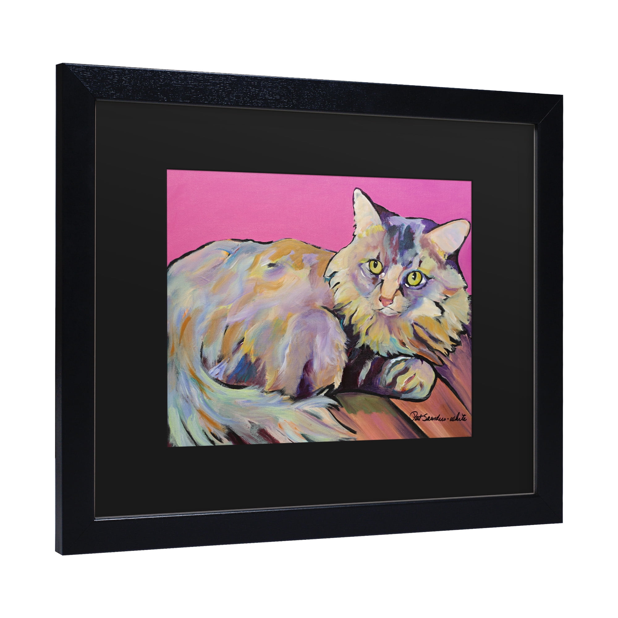 Trademark Fine Art 'Catatonic' Canvas Art by Pat Saunders-White