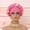 C, variant on Women's African Turban Head Wrap Braid Beanie Cap Headwear Crystals Twisted Head Turbans for Women