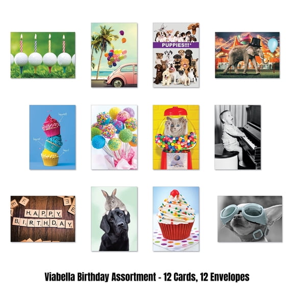 Viabella Birthday Card Assortment - 12 Cards, 12 Envelopes